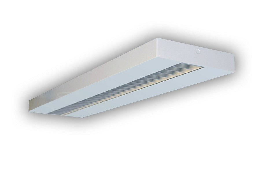 pim_2065_0_4058_1928 1_fullHD.jpg