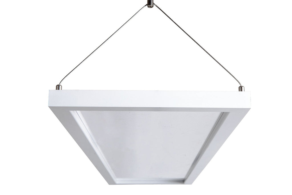 pim_2069_0_4081_Leija (2)_fullHD.jpg