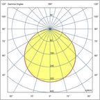 pim_2488_0_5919_EVP Clear Valojakokuva_fullHD.jpg