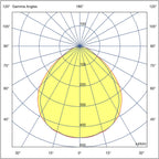 pim_2926_0_6499_MedEV MLO Valojakokuva_fullHD.jpg