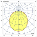 pim_2927_0_6500_MedEV OP Valojakokuva_fullHD.jpg